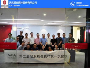 道森媒体公司 国内贸易代理领域的一颗新星？