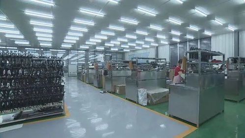 成武民营企业 扬帆出海，畅销海内外市场