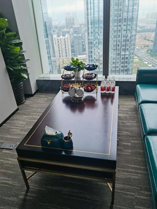 深圳圣晨国际医疗健康管理