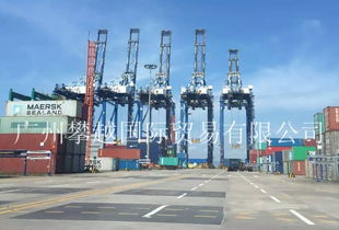 物流洗牌在即 黄埔海关破获2亿元快件走私大案，销售代理链条浮出水面